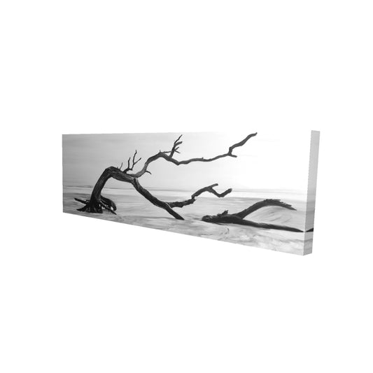 16"x48"