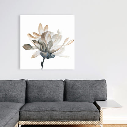 Softness Floral & Botanical Minimalist White Canvas Decor