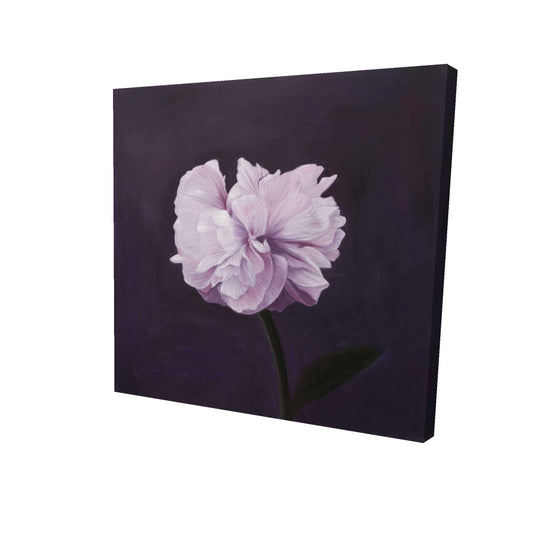 24"x24"
