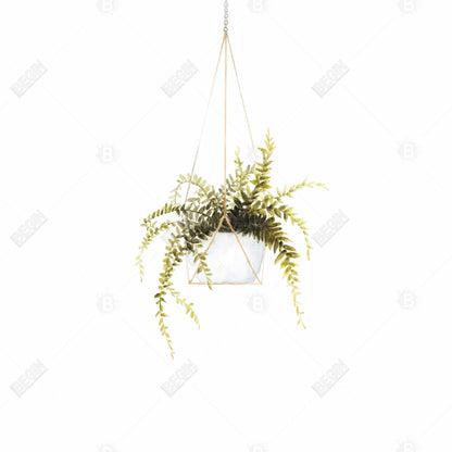 Suspended Fern Gray Canvas - Minimalist Bedroom Home Decor