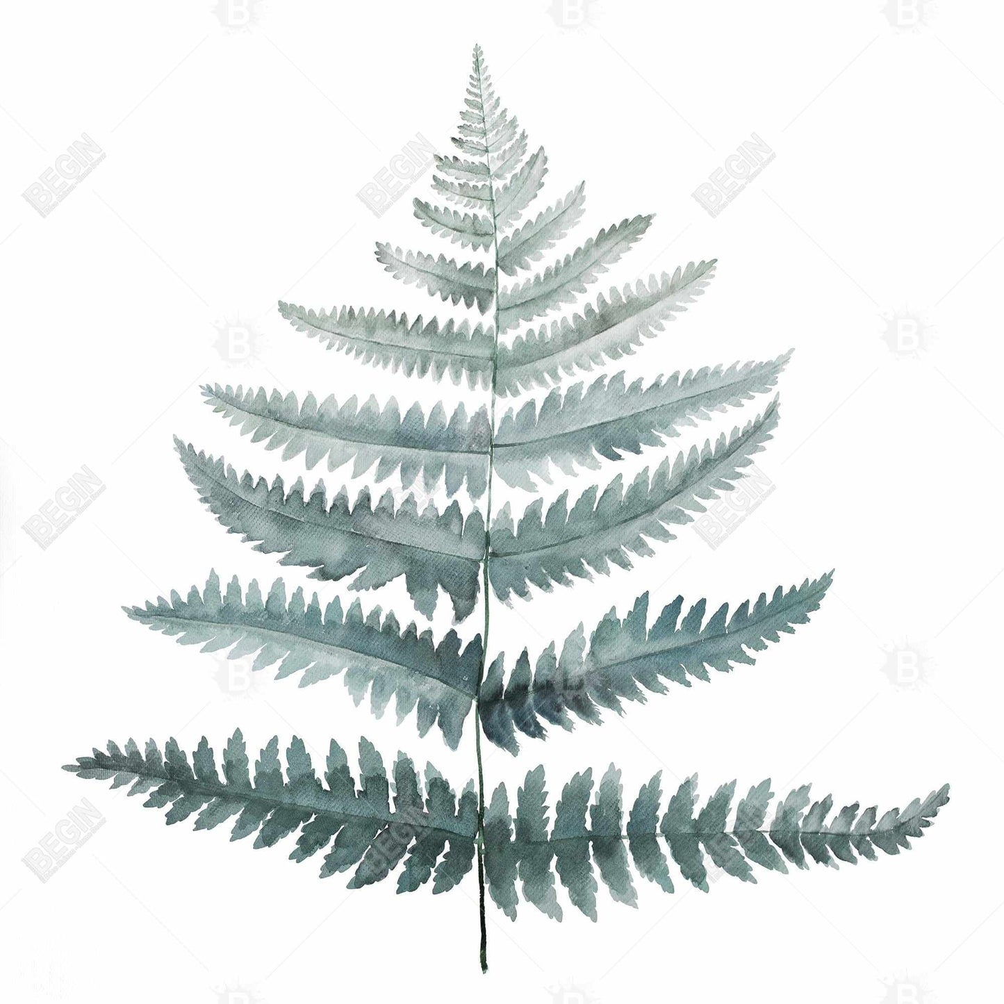 Toile encadrée « Fern Botanical » | Décoration de chambre scandinave