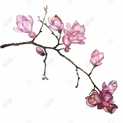 Cherry Blossoms Canvas | Bedroom Botanical Floral Wall Art