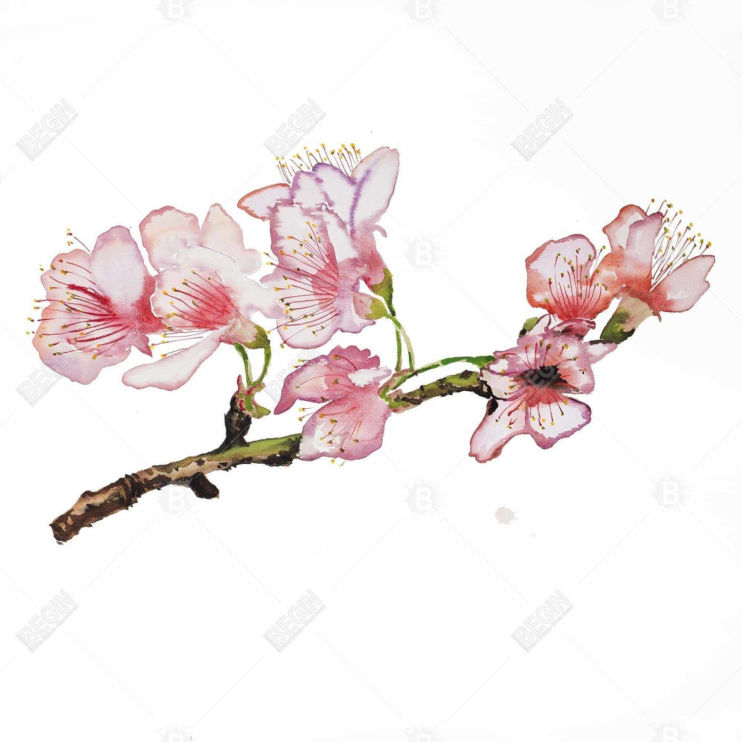 Pink Cherry Blossom Canvas - Asian Bedroom Wall Art Decor