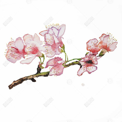 Cherry Blossom Canvas - Pink Floral Asian Tree Wall Art Decor