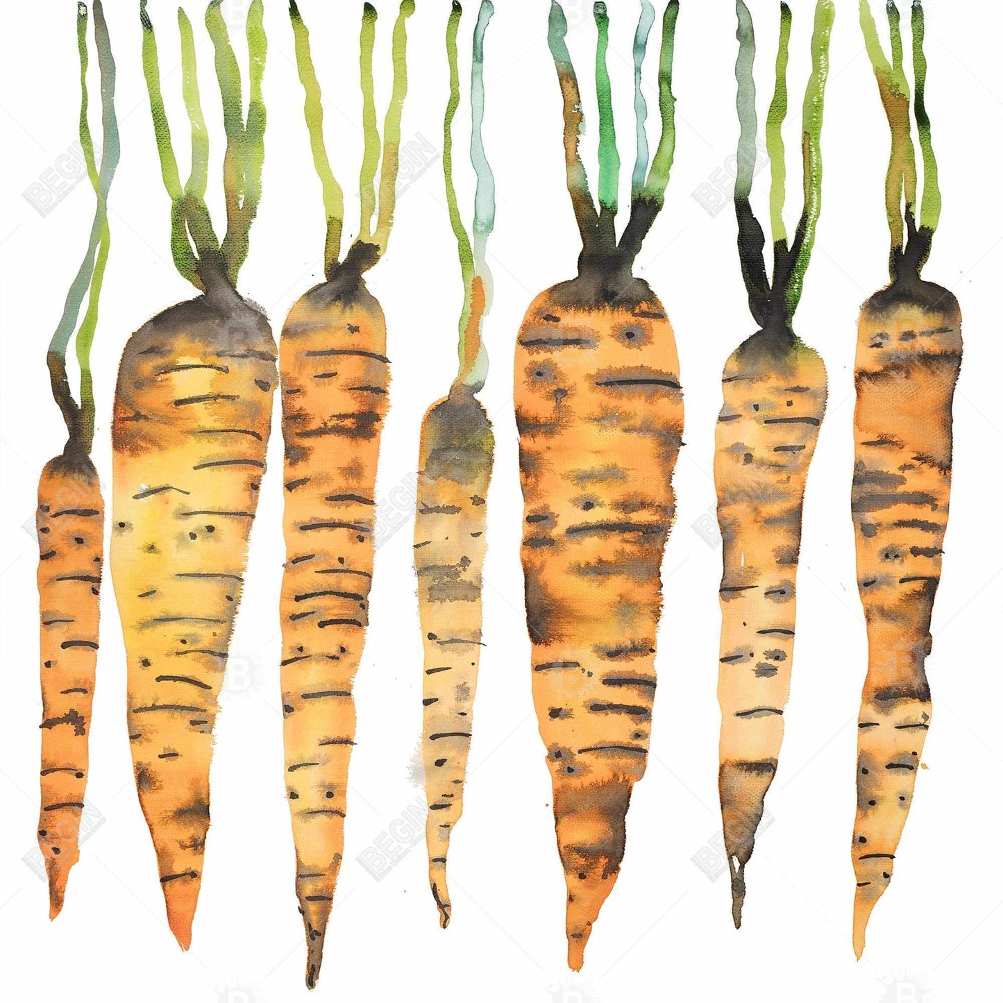 Watercolor Carrots Green Canvas - Kitchen Food Home Decor