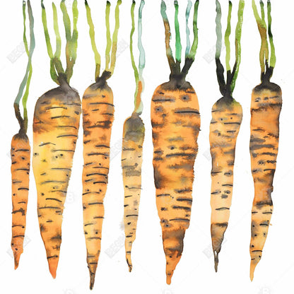 Watercolor Carrots Green Canvas - Kitchen Food Home Decor