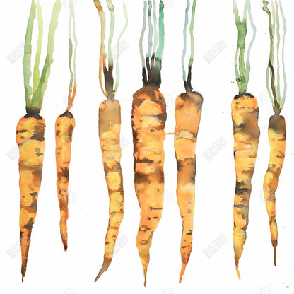 Modern Botanical Gastronomy Canvas - Freshly Picked Carrots Decor