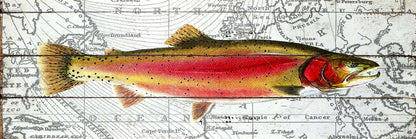 Pink Trout on Map Red Canvas - Aquatic Bedroom Decor