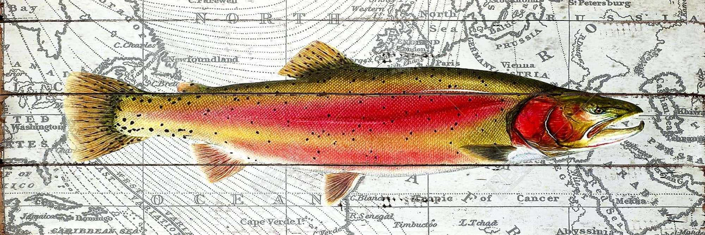 Pink Trout on Map | Aquatic Animals Framed Canvas Decor