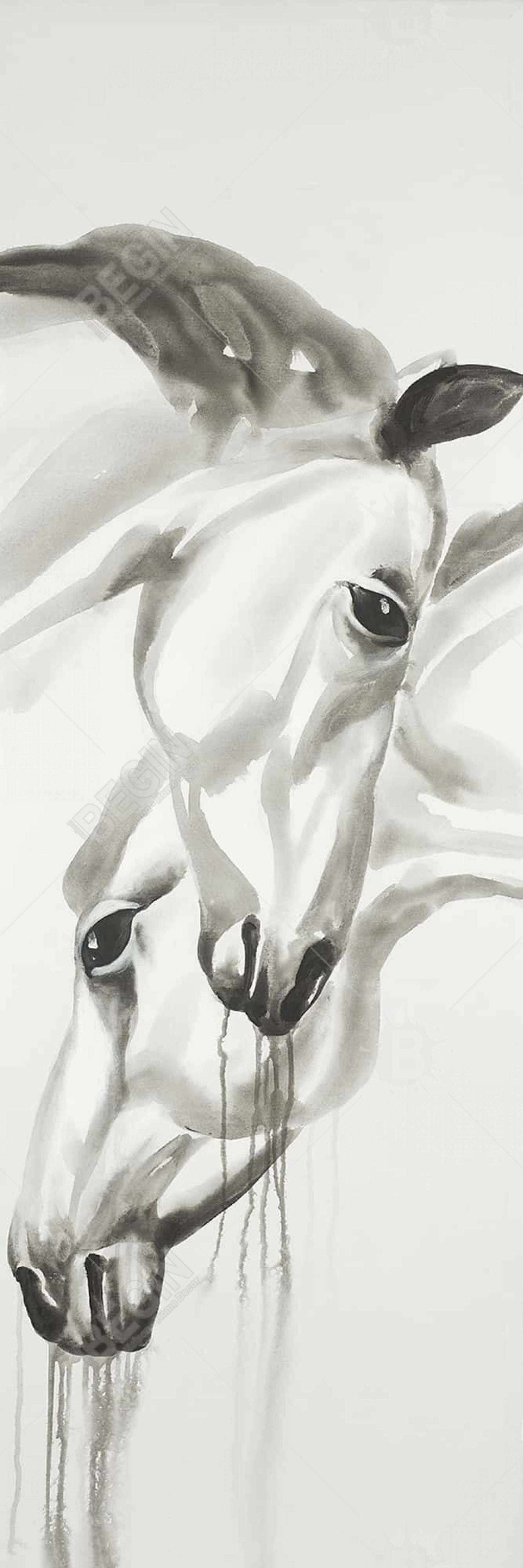 Toile Animaux de la ferme Inséparables | Décoration minimaliste