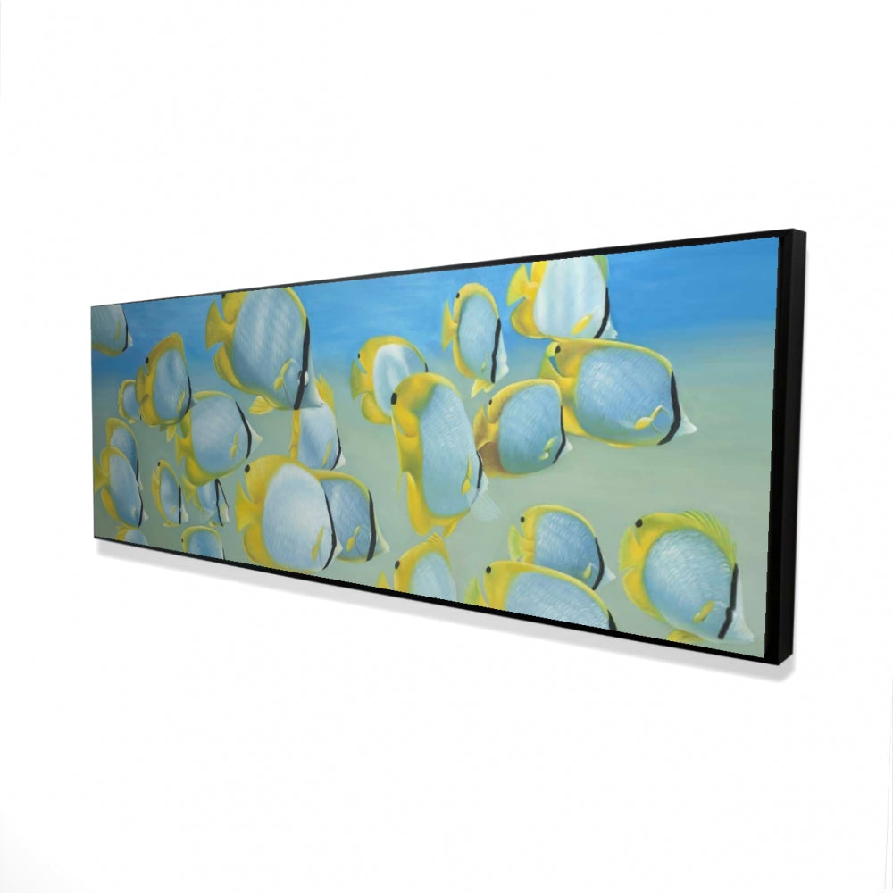 16.00"x48.00"
