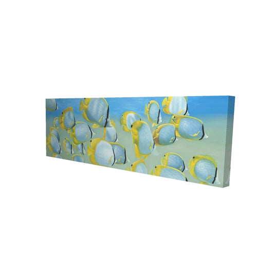 16"x48"