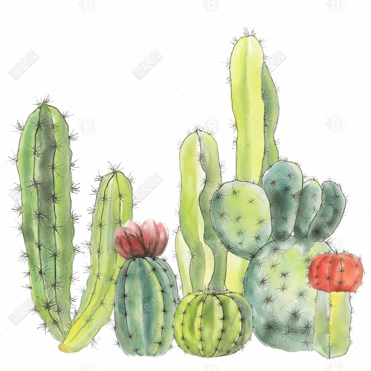 Botanical Green Canvas | Small Cactus Art for Home Decor