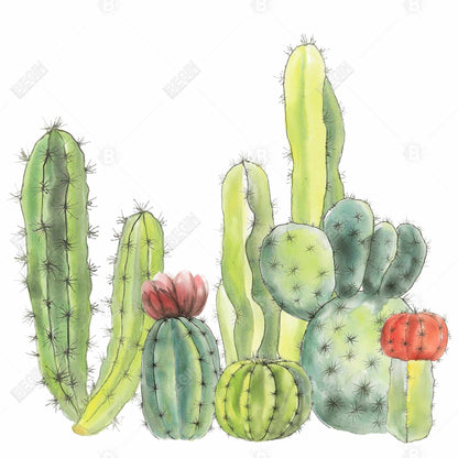 Botanical Green Canvas | Small Cactus Art for Home Decor