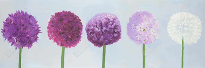 Toile à pompons dahlia violet romantique | Décoration murale
