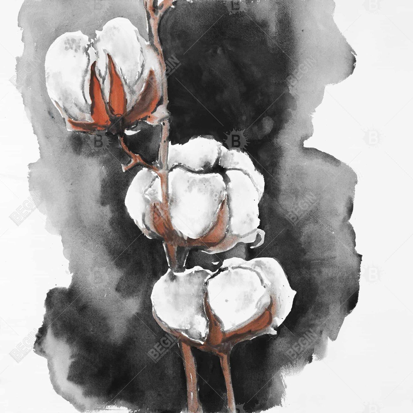 Minimalist Botanical Watercolor Cotton Flowers Framed Canvas