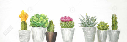 Toile botanique florale blanche exotique - Mini cactus et plantes succulentes