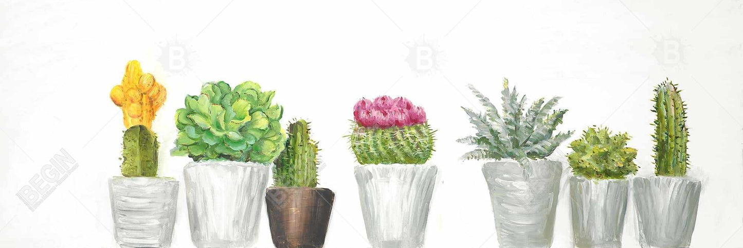 Mini cactus et plantes succulentes | Décoration botanique pour salle de bain