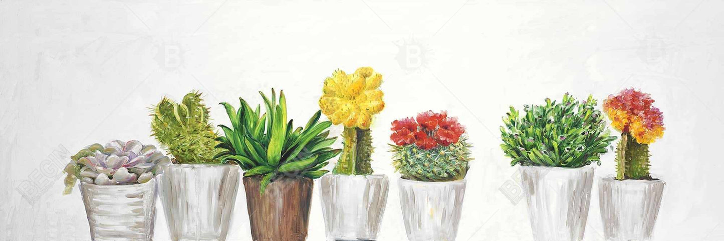 Small Cactus & Succulents Canvas | White Exotic Bedroom Decor