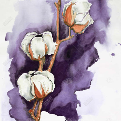 White Floral Canvas | Cotton Flowers on Purple | Home Decor