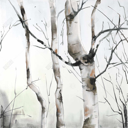 Three Birches Trees Minimalist Canvas | Home Decor Wall Art