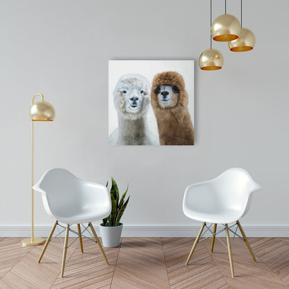 White Farm Animals Canvas - Two Llamas Home Decor Bedroom