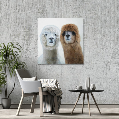White Farm Animals Canvas - Two Llamas Home Decor Bedroom