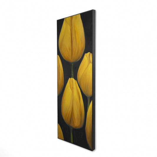 16.00"x48.00"