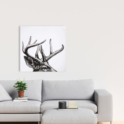 White Animals Bedroom Canvas - Roe Deer Plume Home Decor