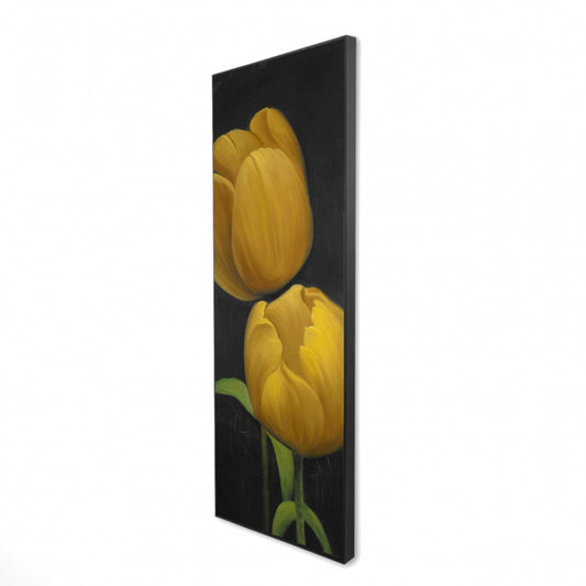 16.00"x48.00"
