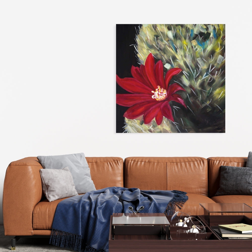Echinopsis Red Cactus Flower Canvas | Floral Bedroom Decor
