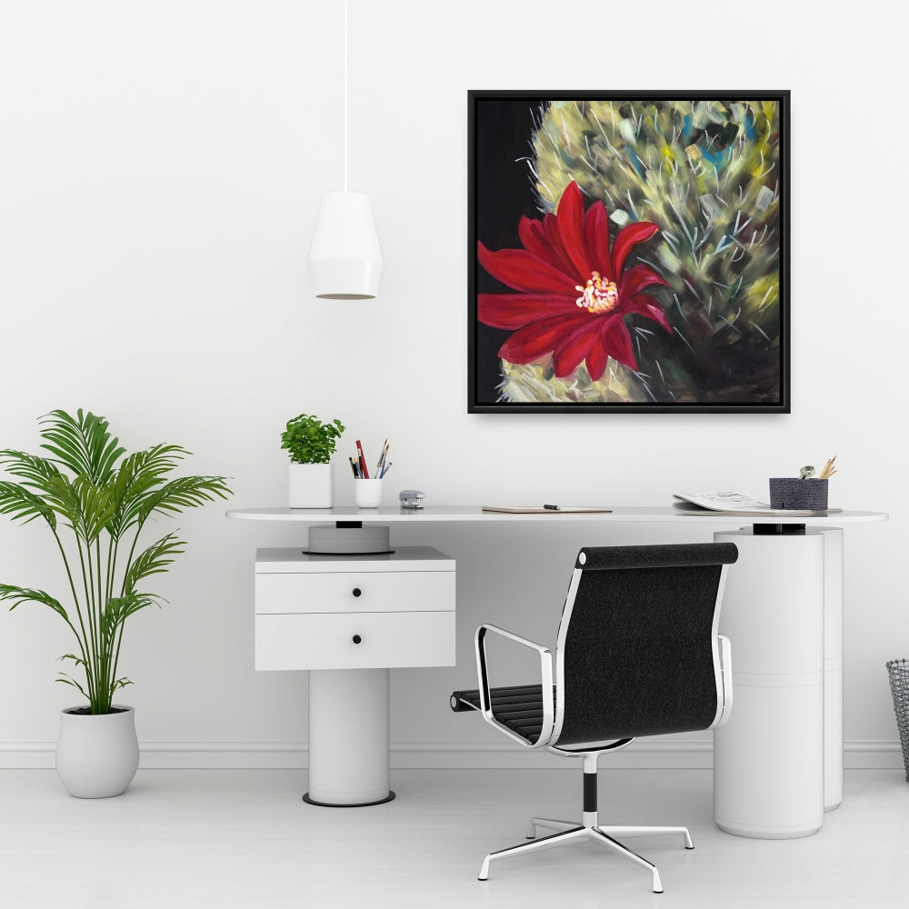 Fleur de cactus rouge Echinopsis | Toile décorative encadrée noire