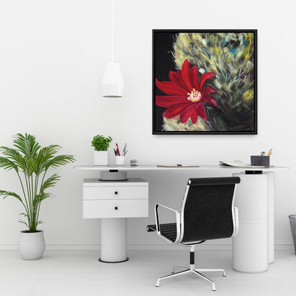 Fleur de cactus rouge Echinopsis | Toile décorative encadrée noire