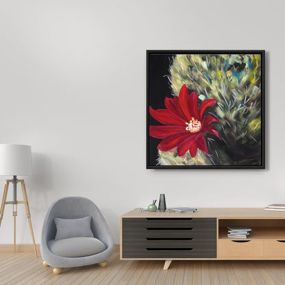 Fleur de cactus rouge Echinopsis | Toile décorative encadrée noire