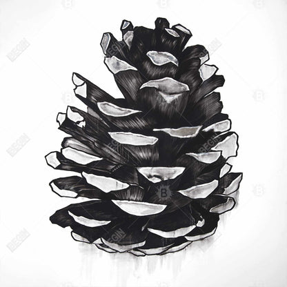 Toile botanique avec pomme de pin | Décoration murale encadrée grise