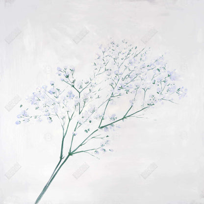 Botanical Bedroom Canvas | Minimalist Baby's Breath Bouquet