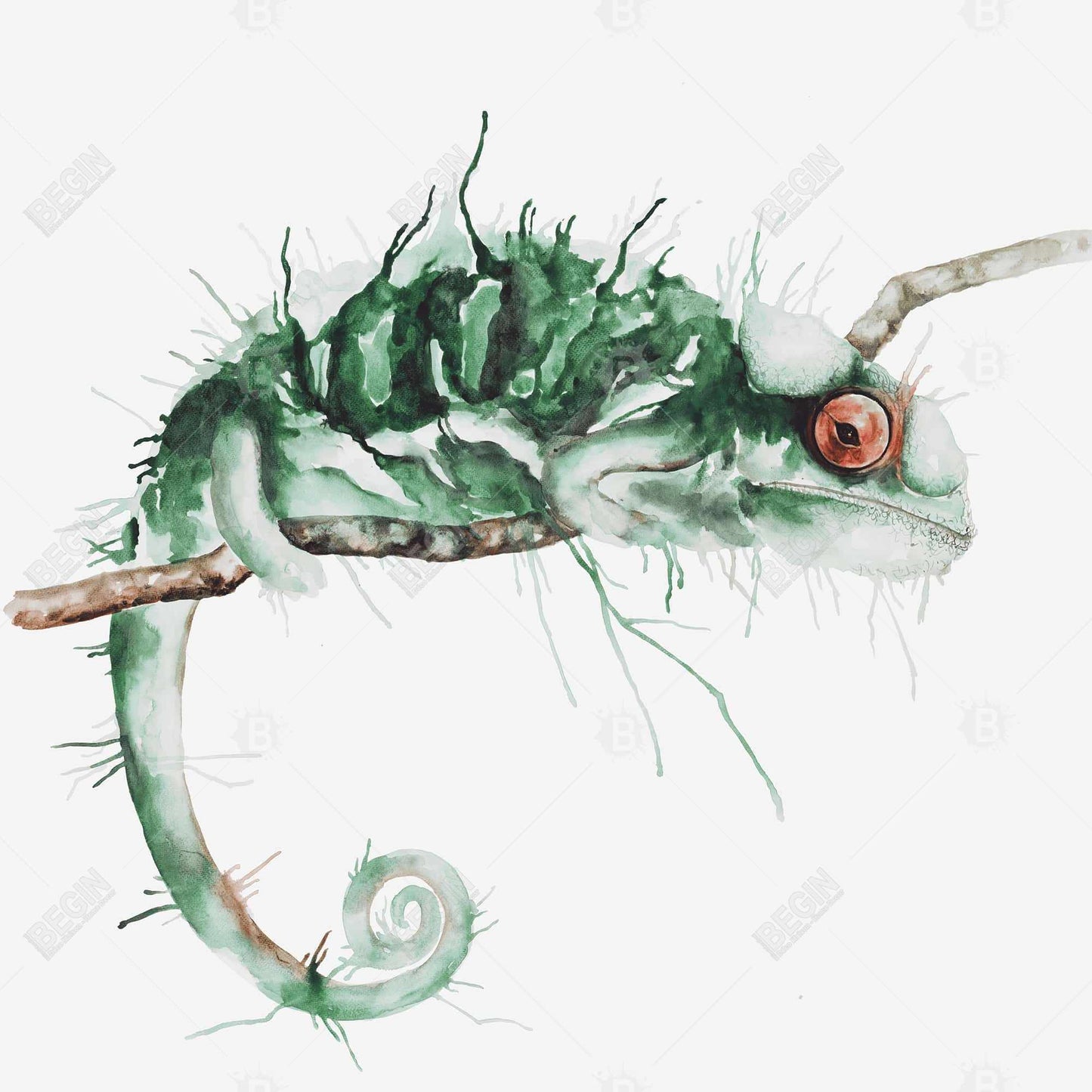 Caméléon à l'affût - Toile décorative encadrée exotique verte