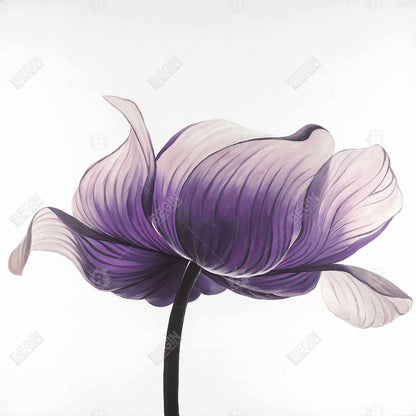 Purple Anemone Flower Canvas | Floral Botanical Home Decor