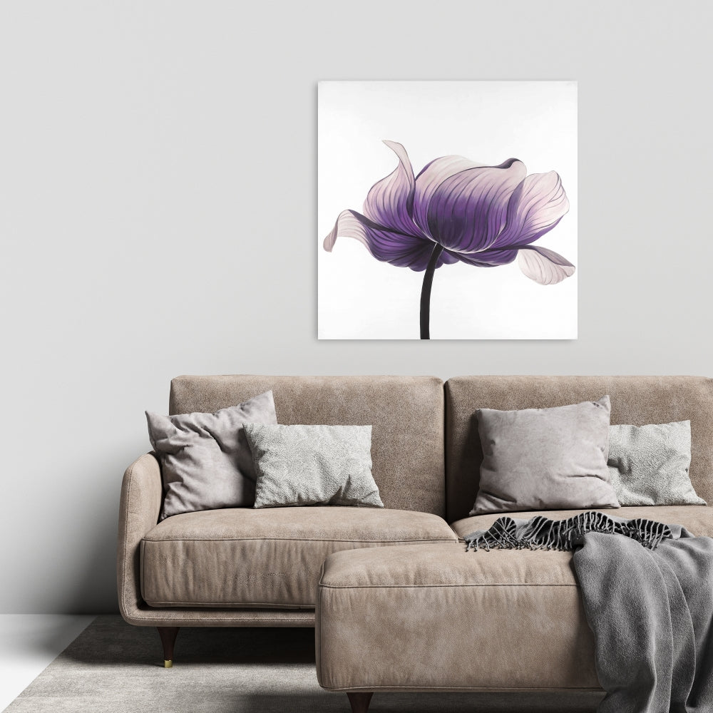 Purple Anemone Flower Canvas | Floral Botanical Home Decor