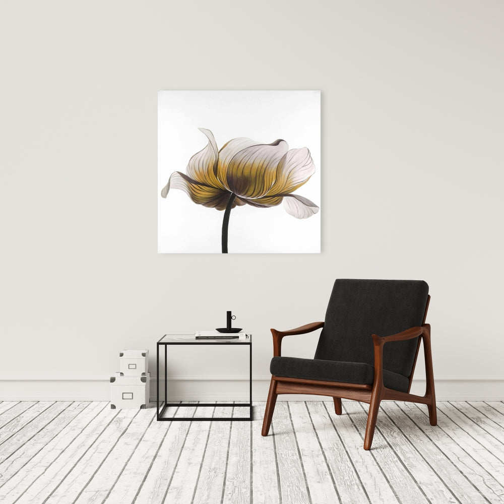 Yellow Anemone Flower Canvas - White Floral Home Decor