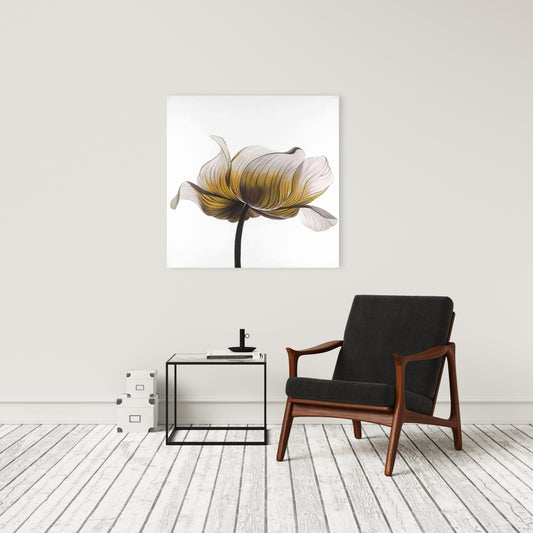 Yellow Anemone Flower Canvas - White Floral Home Decor