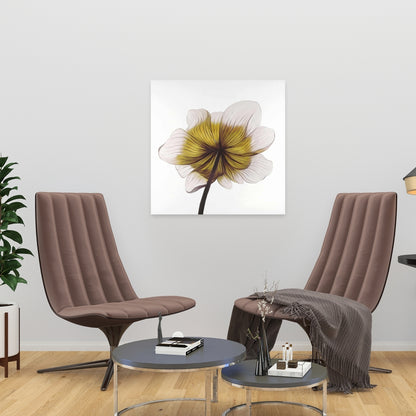 Magnifique toile d'anémone jaune | Décoration d'intérieur