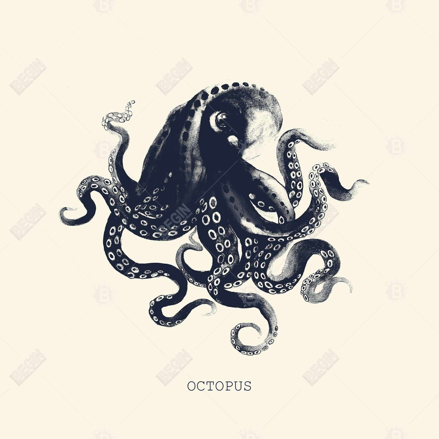 Octopus Coastal Blue Marine Canvas - Home Decor Wall Art