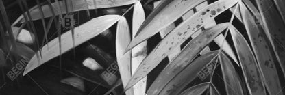 Monochrome Tropical Leaves Canvas | White Floral Bedroom Decor
