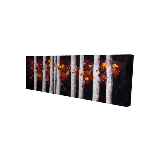 16"x48"