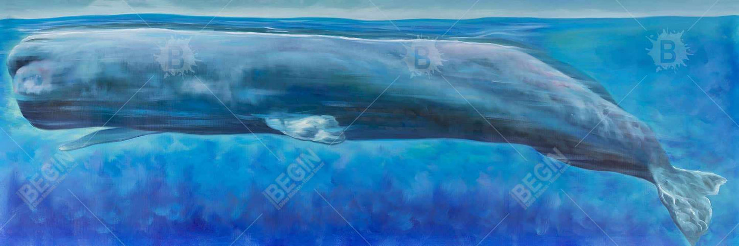 Sperm Whale Framed Canvas | Blue Aquatic Animals Decor