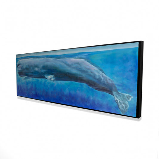 16.00"x48.00"
