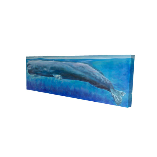 16"x48"