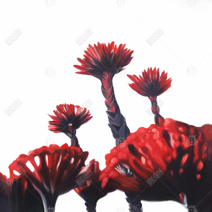 Red Tropical Flowers Canvas Art | Exotic Bedroom Wall Decor