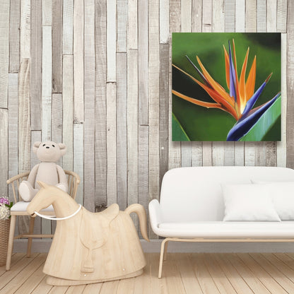Bird of Paradise Flower Canvas | Green Botanical Home Decor